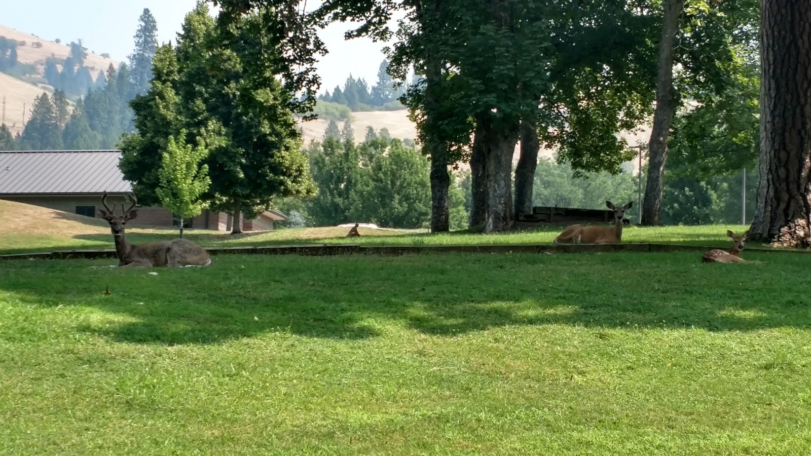 State Hospital North